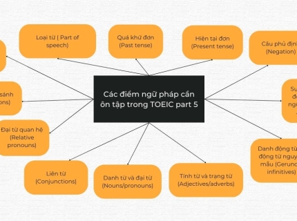 Luyện Part 5 TOEIC: Khi ngữ pháp không chỉ là quy tắc mà là chiến lược